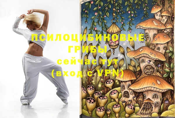 ГАЛЛЮЦИНОГЕННЫЕ ГРИБЫ Верхний Тагил