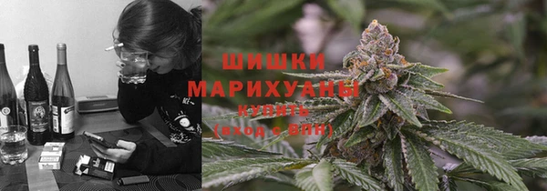 ГАЛЛЮЦИНОГЕННЫЕ ГРИБЫ Верхний Тагил